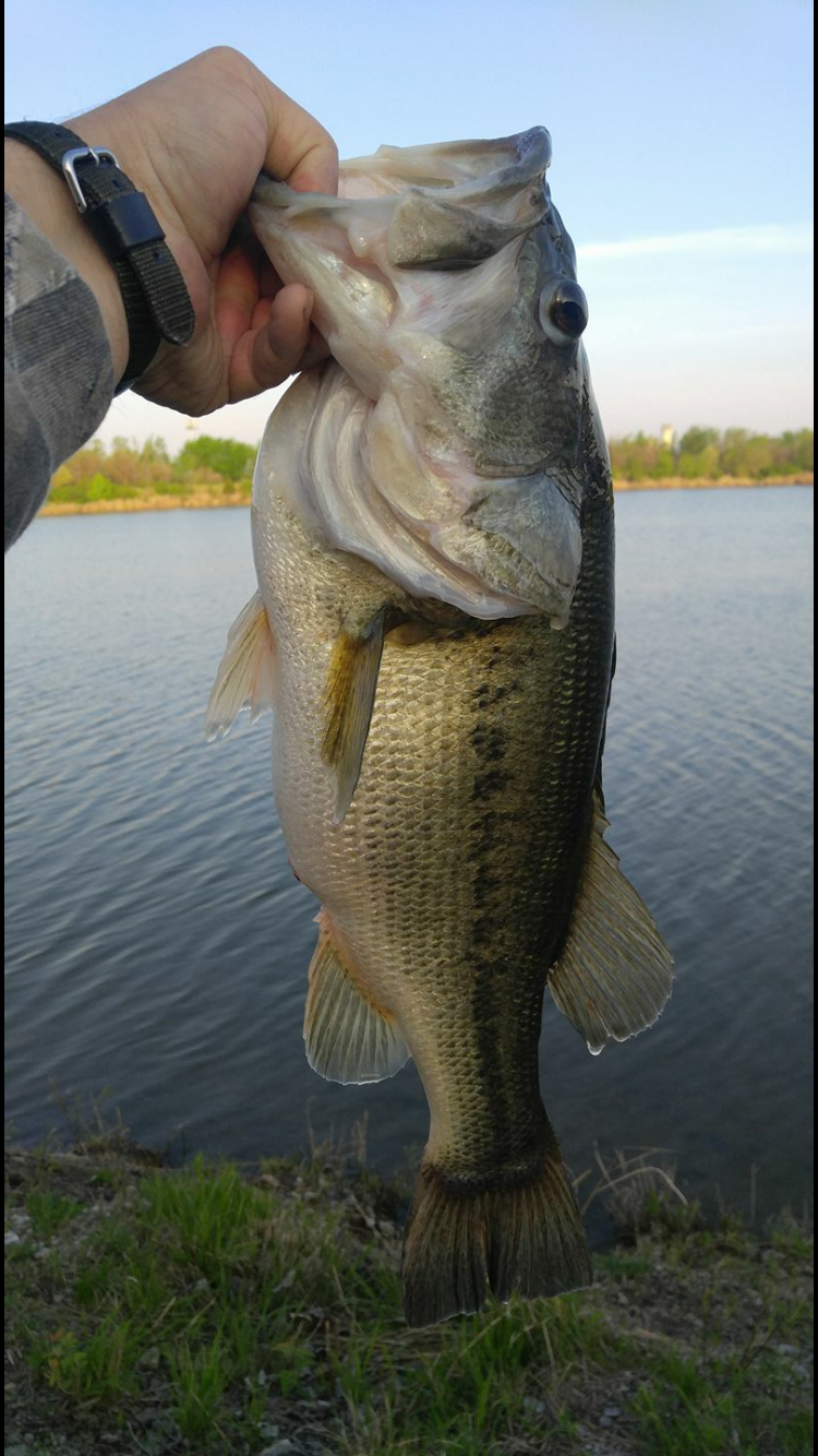 How Does Barometric Pressure Affect Bass – Cajun Outdoors